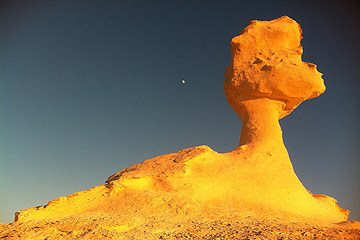 Desert ecotourism: What’s in it for Egypt?