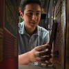 Can jumping spiders kill in space? Student’s experiment set for orbit