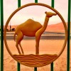 Camel in a median fence. Somewhere in the Liwa, UAE
