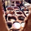 Fes tannery.