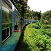 On the train from Colombo to Kandy, up the mountains and through the jungle. #colombo #kandy #srilanka #nature #travel #train