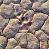 #Footprints in the #sand. #jordan #jo