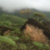The mountains of #Salalah, #Oman during #monsoon season, the only time of the year when the #deserts of southern #Arabia turn #green.