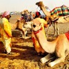 At the Al Marmoum camel races in #Dubai. The lucky winners get a face full of saffron paste after crossing the finish line. Emiratis say it gives the camel a nice smell for about a month and, more importantly, is an easy way to recognize who claimed the honor of #victory. #UAE #camel #race #travel #mydubai