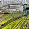 Olympic Stadium, Munich. #Germany #munchen #munich #olympics #sports